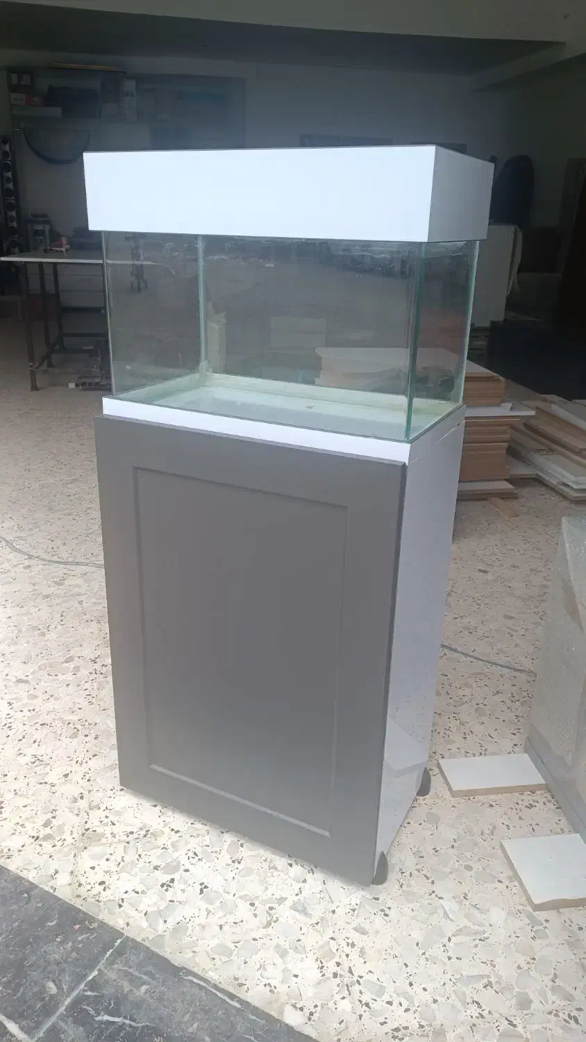 اکواریوم|ماهی|نوشهر, |دیوار