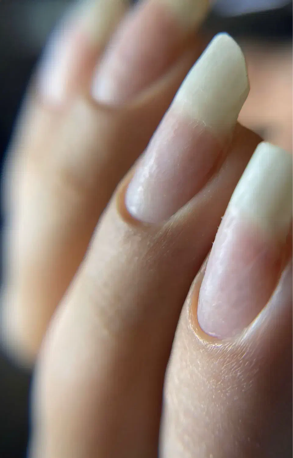 کاشت ناخن|خدمات آرایشگری و زیبایی|نوشهر, |دیوار