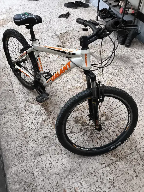 دوچرخه گالانت ۲۶|دوچرخه، اسکیت، اسکوتر|باوی, |دیوار