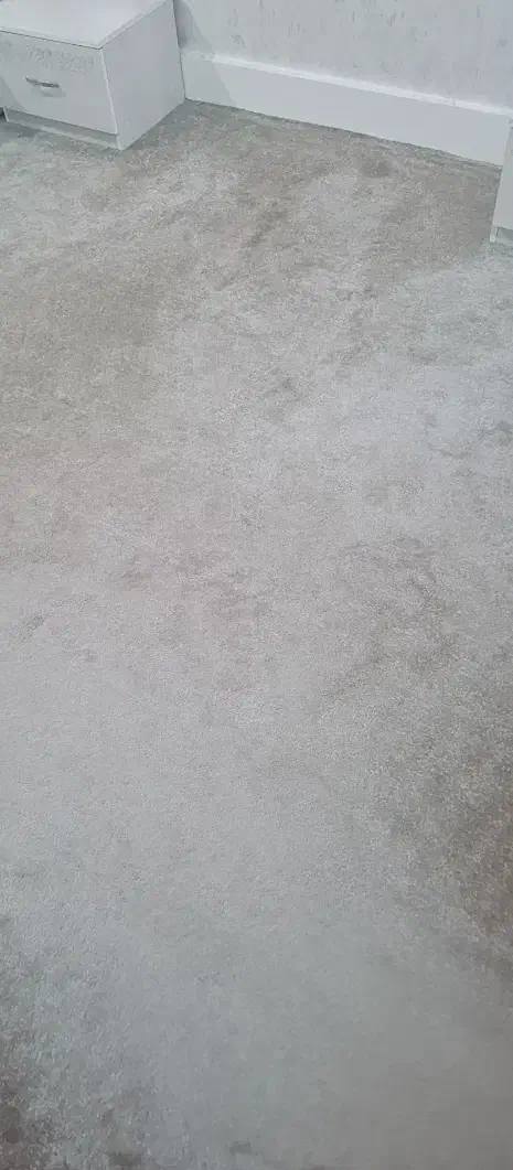 پالاز موکت کاتبی|موکت|رامهرمز, |دیوار