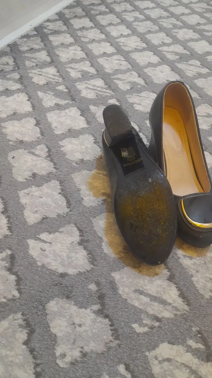 چندتا کفش  شیک دو  نیم بوت نو ویه کفش مجلُسی|کیف، کفش، کمربند|دورود, |دیوار