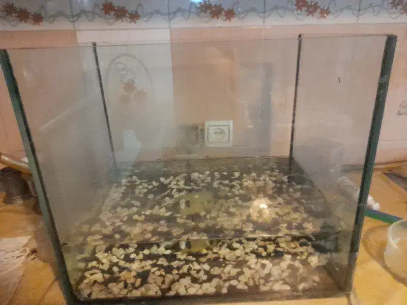 آکواریوم|ماهی|تهران, جمال‌زاده|دیوار