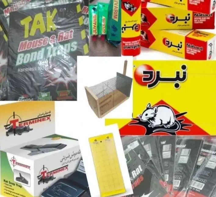 چسب موش و حیوانات موزی|لوازم نظافت|قم, جمکران|دیوار