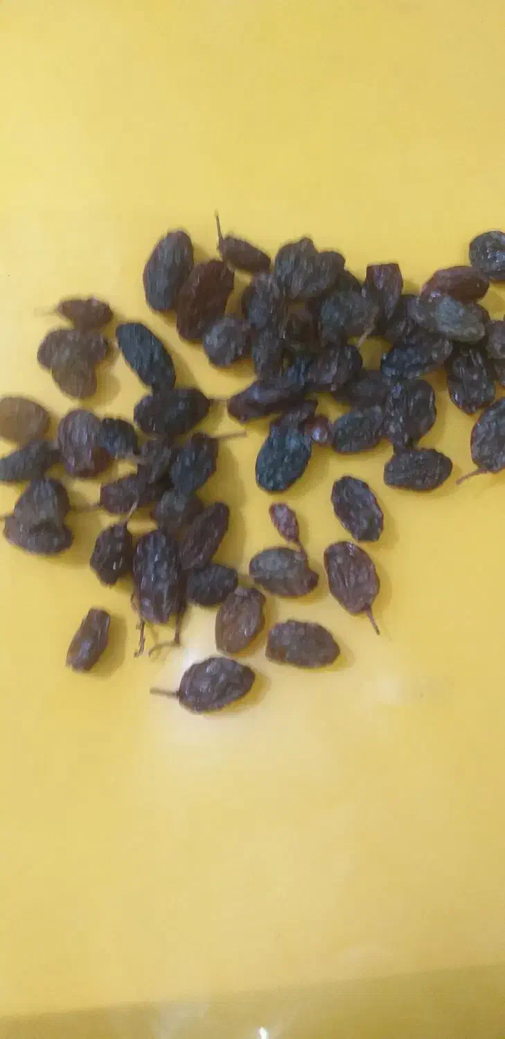 کشمش بیدانه یه دست|خوردنی و آشامیدنی|شال, |دیوار
