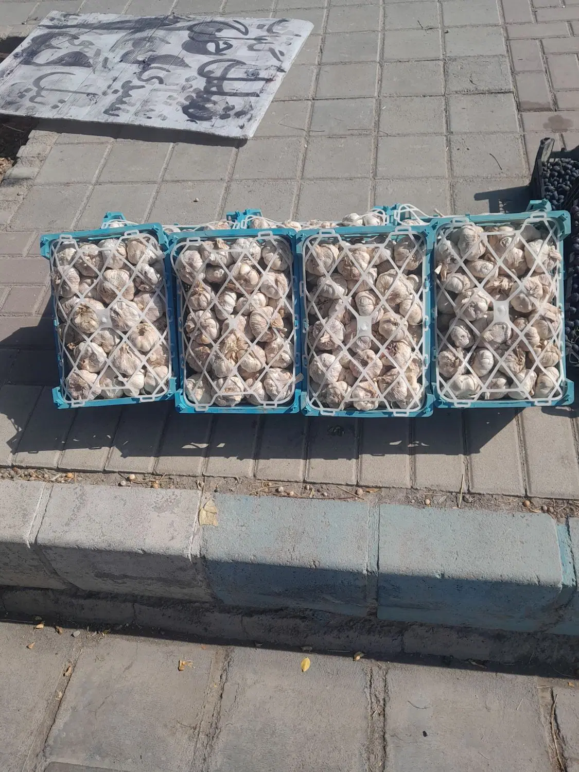 سیر|خوردنی و آشامیدنی|نیشابور, شهرک بسیج|دیوار
