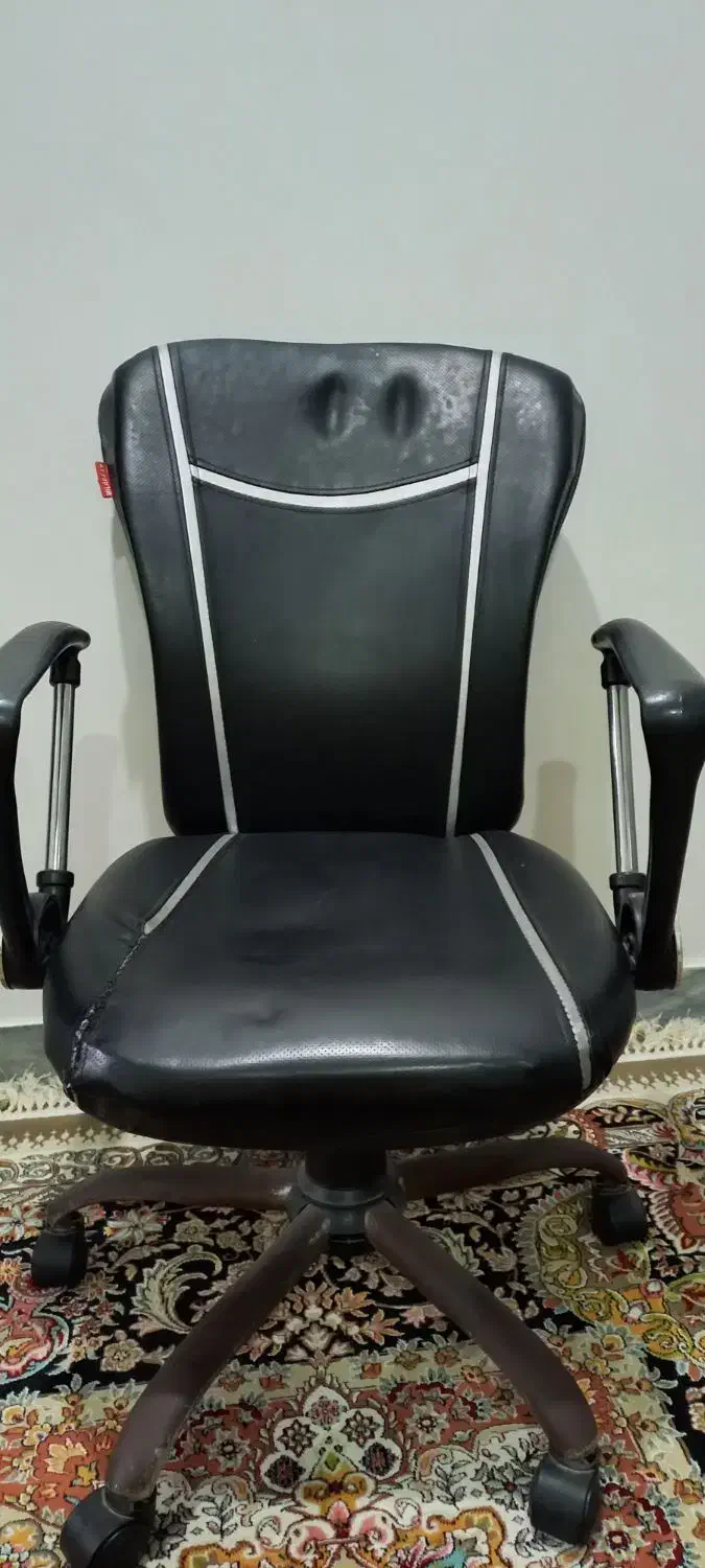 صندلی چرخدار|صندلی و نیمکت|شوش, |دیوار