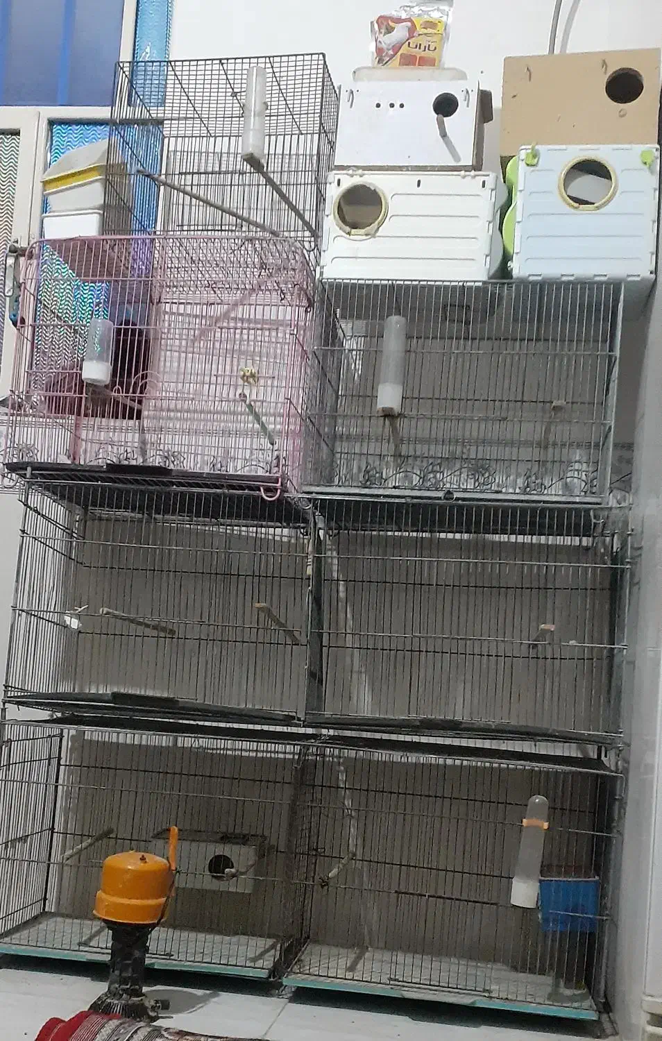 بندر ماهشهر شهرک طالقانی|لوازم جانبی حیوانات|بندر ماهشهر, |دیوار