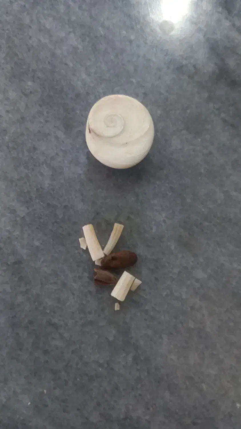 مهره|کلکسیون اشیاء عتیقه|پارس‌آباد, |دیوار