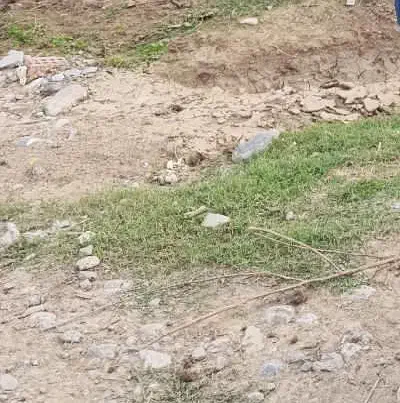 یک قطعه زمین|فروش زمین و ملک کلنگی|خان ببین, |دیوار