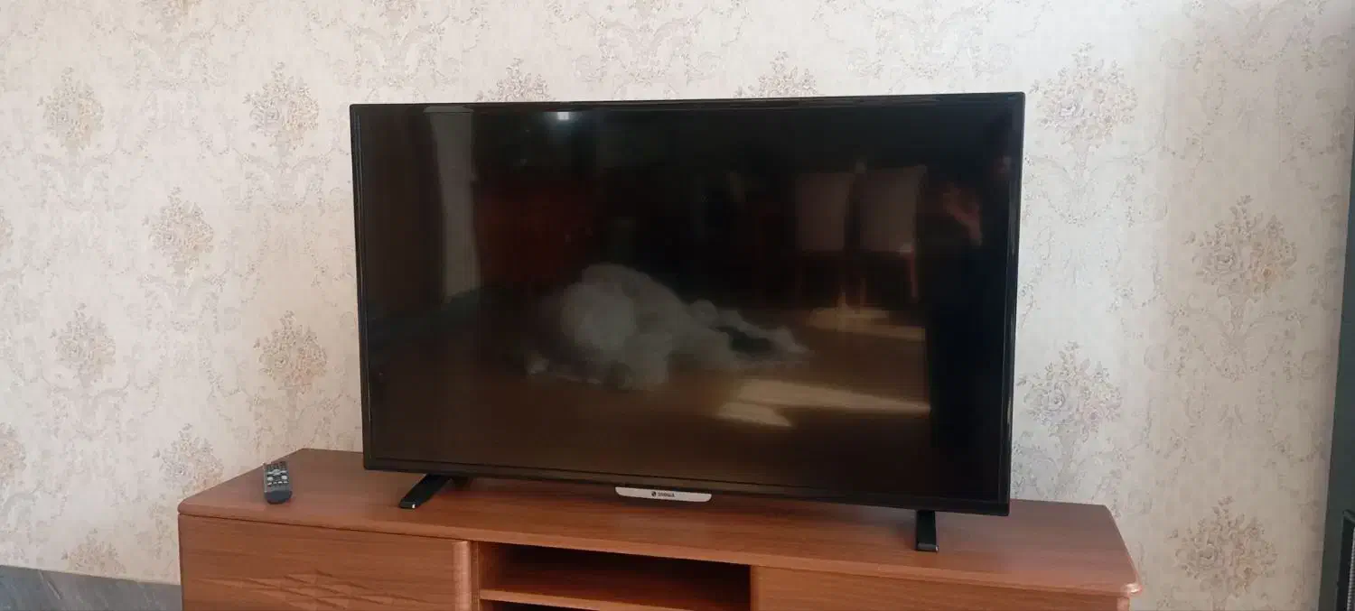 تلوزیون اسنوا ۴۸ اینچ|تلویزیون و پروژکتور|نقده, |دیوار