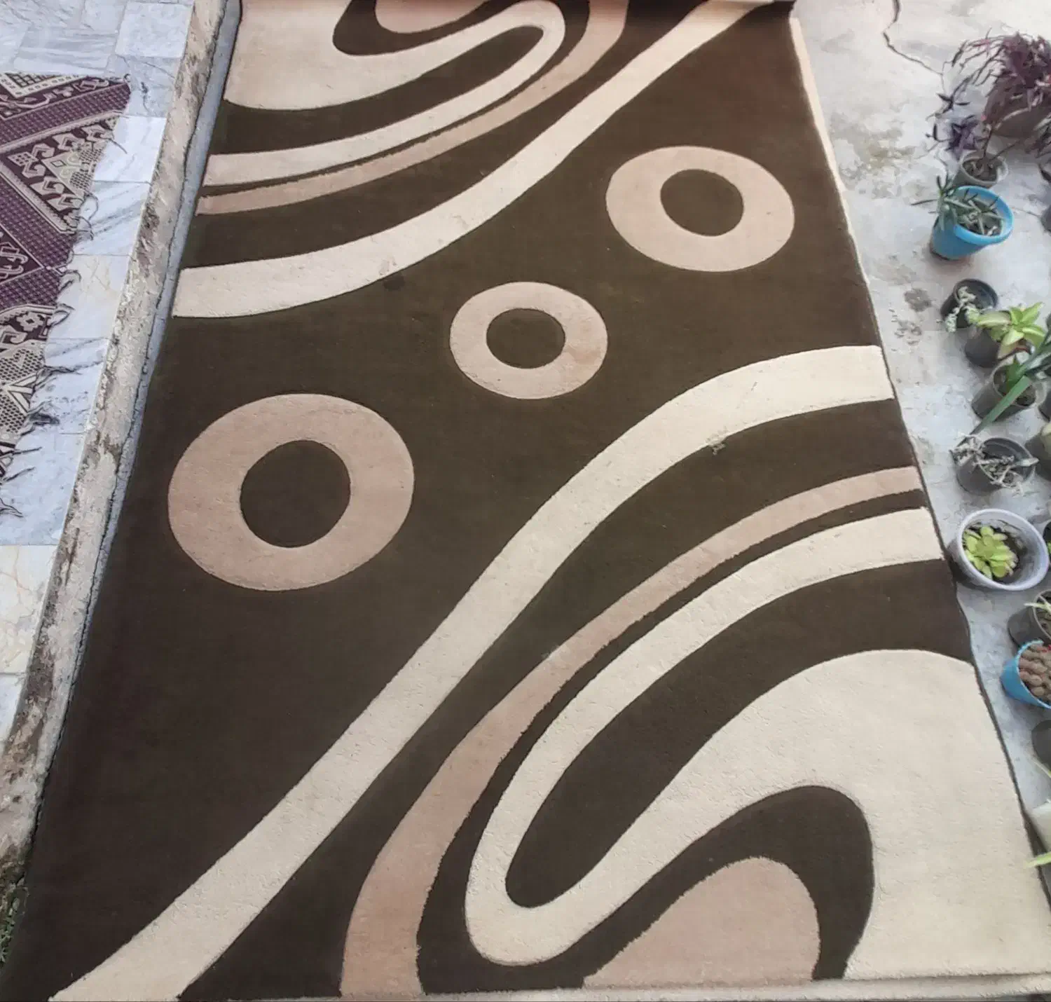 فرش فانتزی|فرش|گرگان, |دیوار