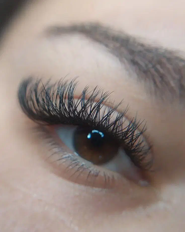 کاشت مژه تخصصی با متریال درجه یک|خدمات آرایشگری و زیبایی|شاهینشهر, خبرنگار|دیوار