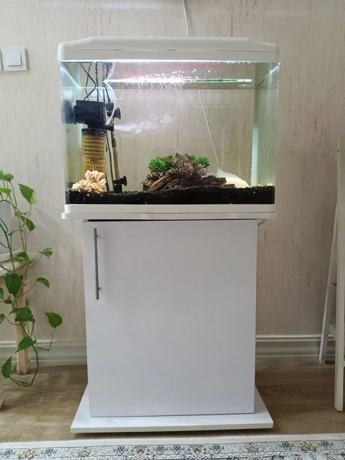 آکواریوم شرکتی مدل دلسا|ماهی|مشکیندشت, |دیوار