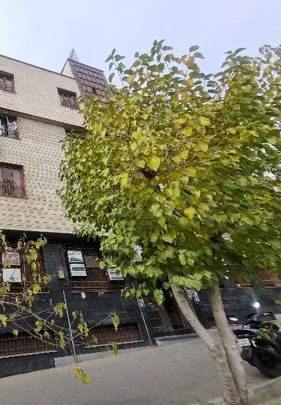 ۷۰ متر/ تابلو خور/ مناسب هر شغل/ بر خیابان|اجارهٔ دفتر کار، اتاق اداری، مطب|تهران, سردارجنگل|دیوار