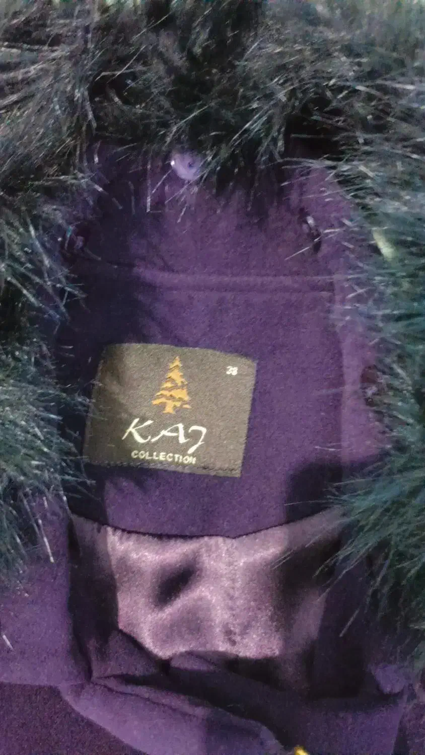 پالتو|لباس|بندرعباس, |دیوار