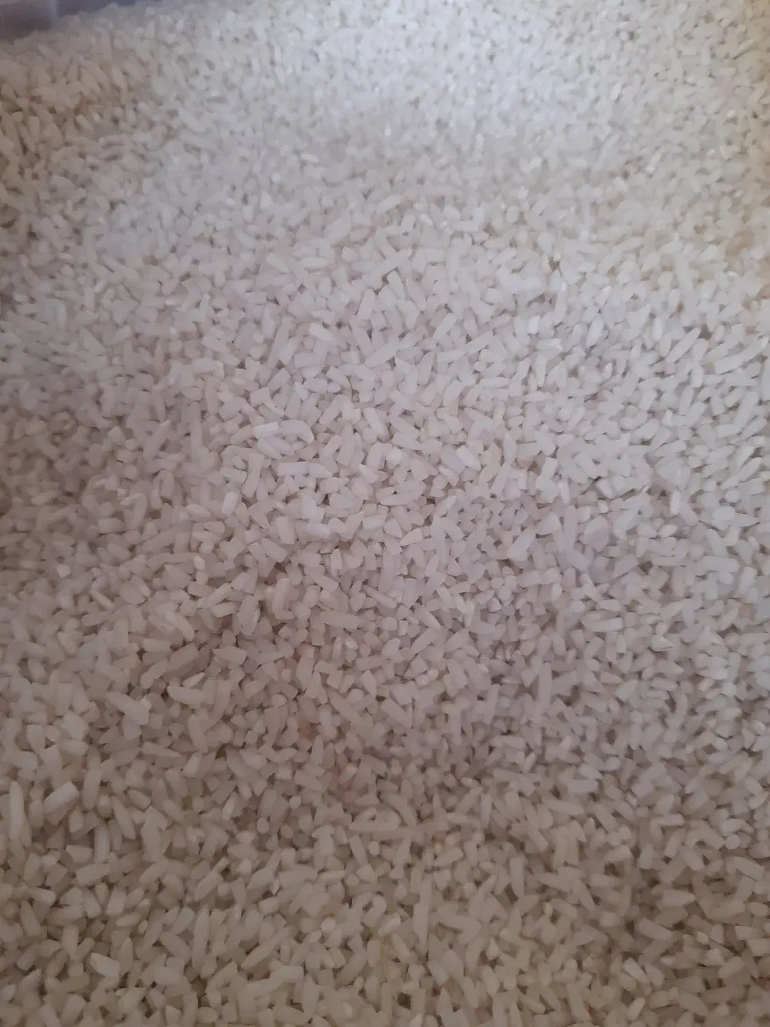 برنج نیم دانه عالی هاشمی به شرط واسه سیاهکل|خوردنی و آشامیدنی|کرج, کمالشهر|دیوار