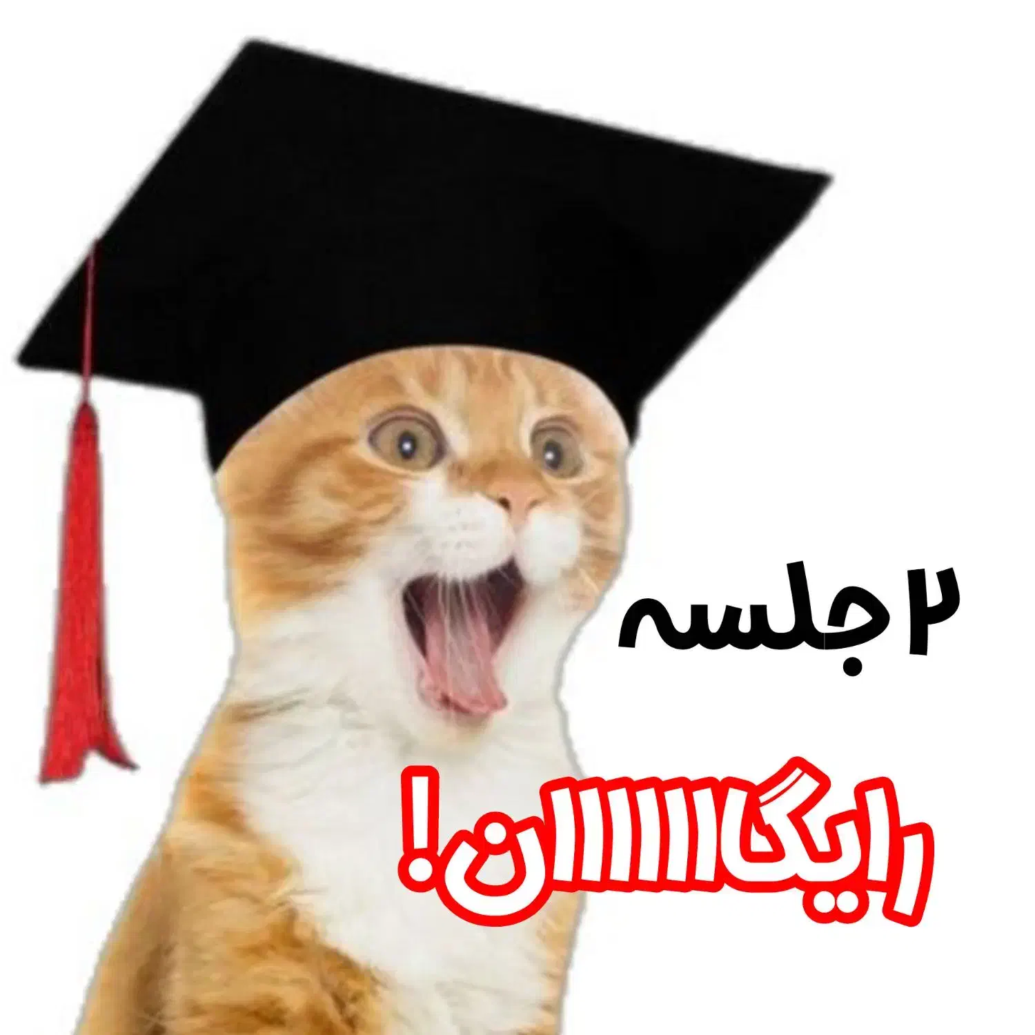 ۲ جلسه رایگان|خدمات آموزشی|سنندج, |دیوار