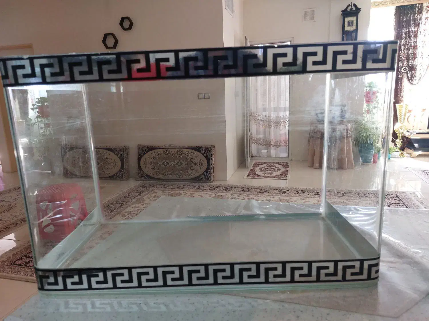 آگواریوم شیشه خم|ماهی|فردیس, منظریه|دیوار