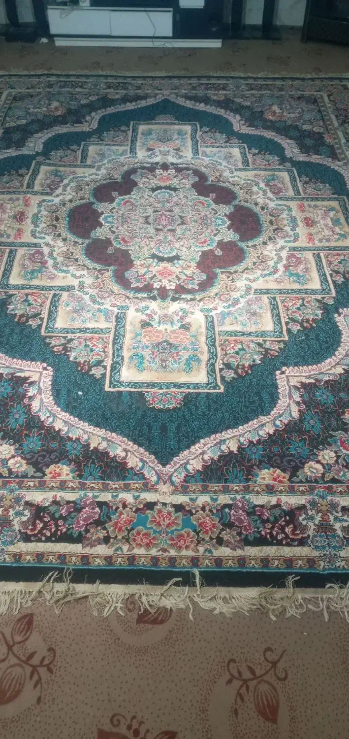 فرش 12 متری|فرش|نیشابور, مبارکه|دیوار