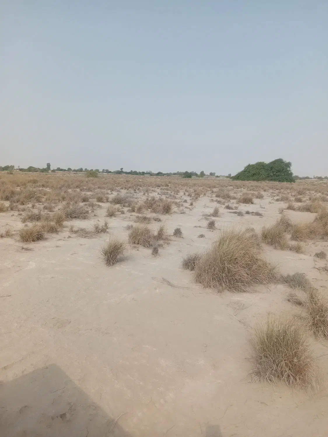 فروش زمین|فروش دفتر صنعتی، کشاورزی، تجاری|تخت, |دیوار