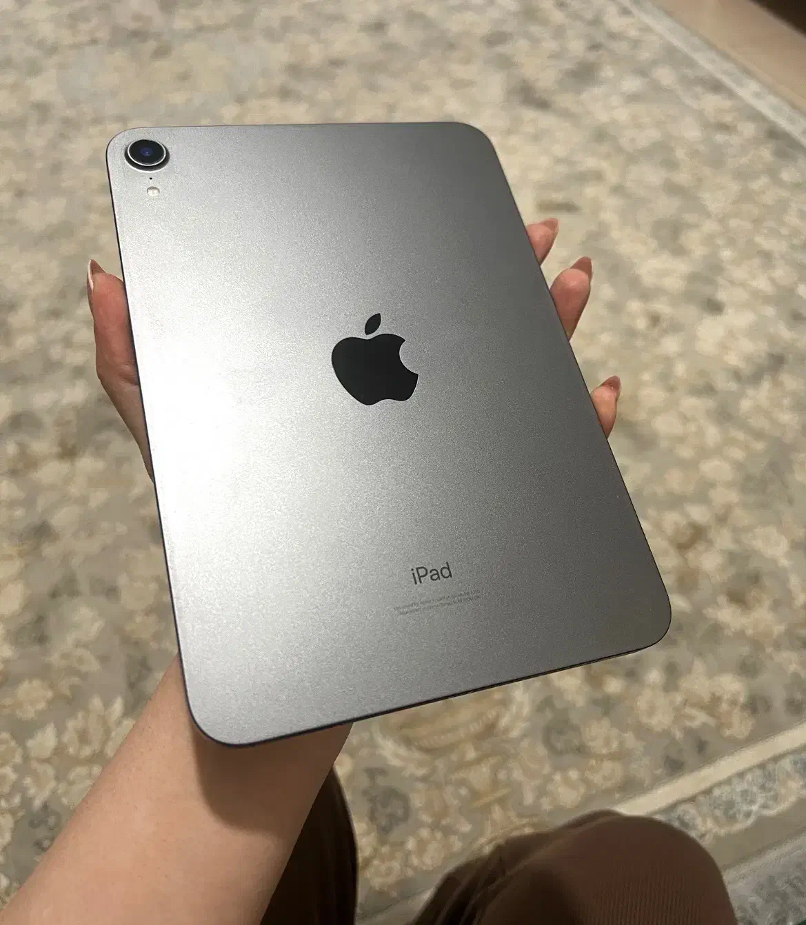 iPad mini (6th Generation)wifi|تبلت|ساری, |دیوار