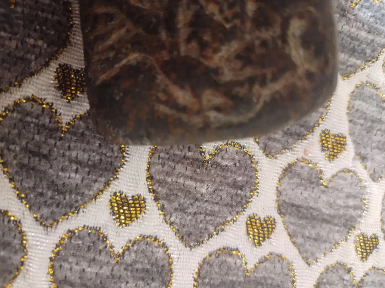 سنگ قدیمی مهر شکارچی|کلکسیون اشیاء عتیقه|دورود, |دیوار