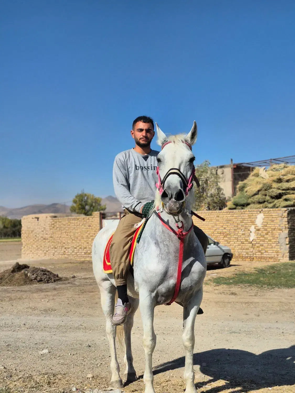 اسب کرد مادیان ۹سال|اسب و تجهیزات اسبسواری|چهاردانگه (تهران), |دیوار