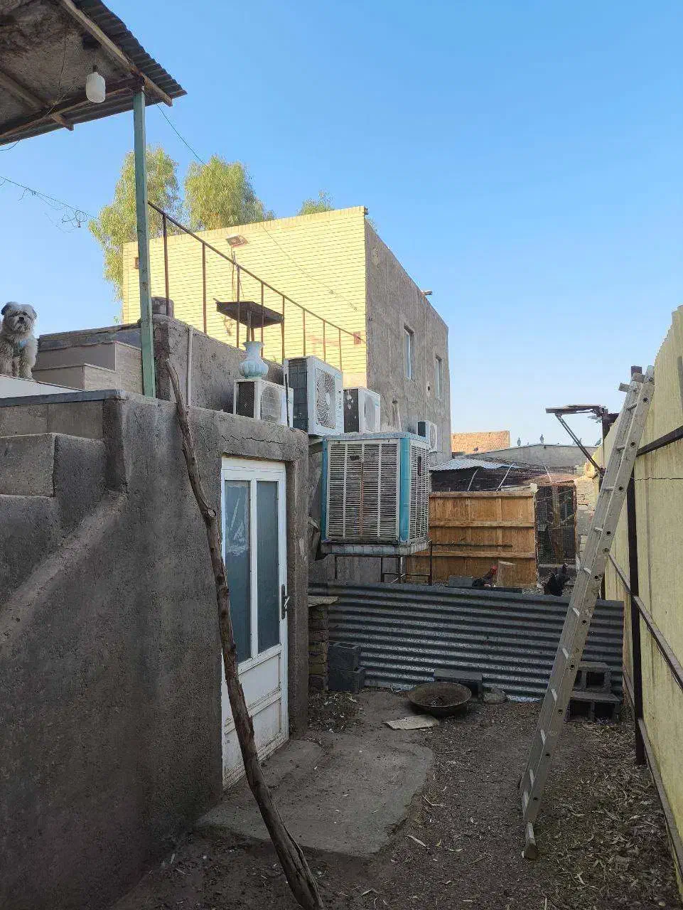 فروش دامداری مجهز و فعال در ابوزیدآباد با امکانات|فروش دفتر صنعتی، کشاورزی، تجاری|کویرات, |دیوار