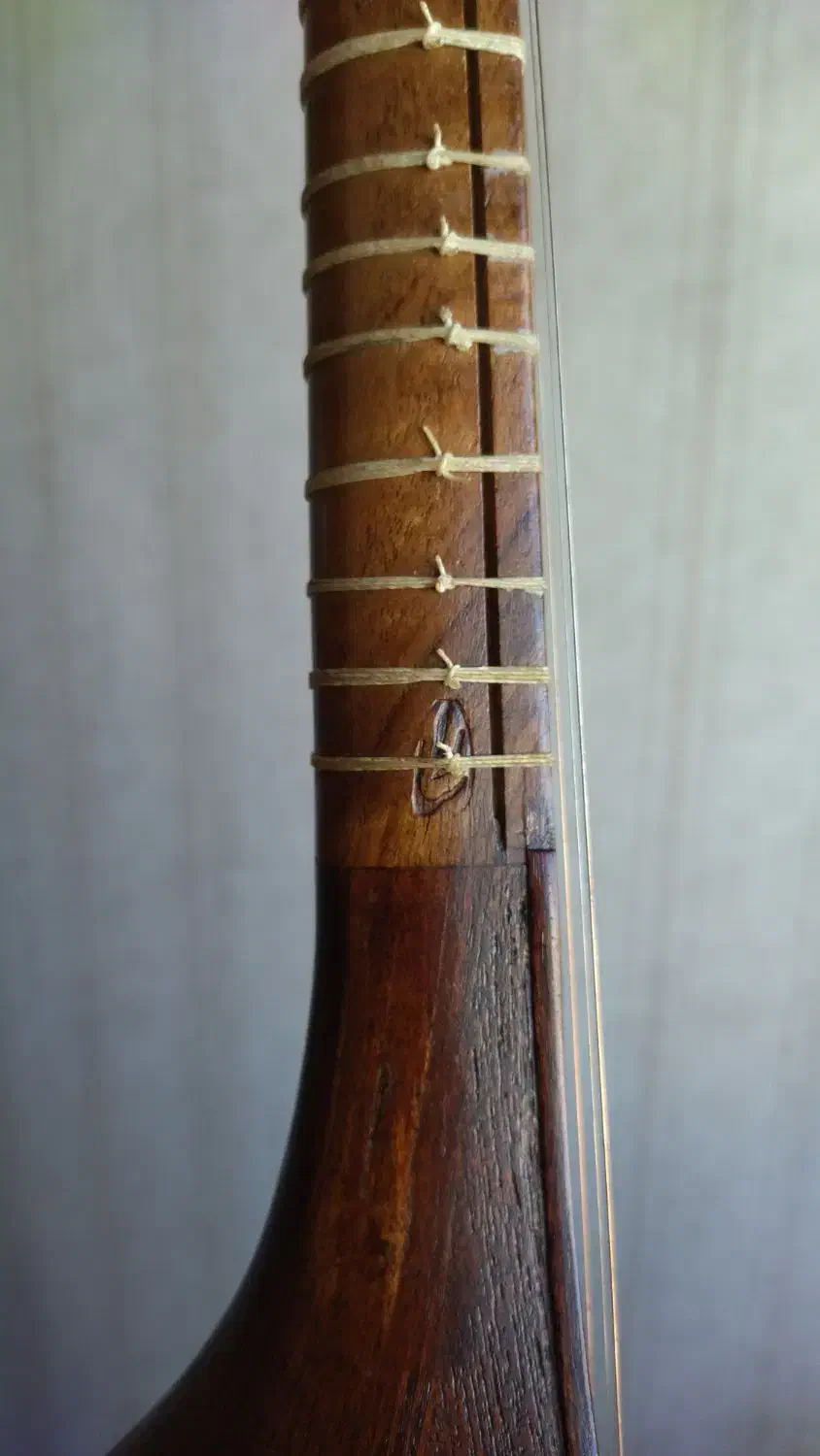 سه تار سارا حرفه ای|سازهای سنتی|تبریز, |دیوار