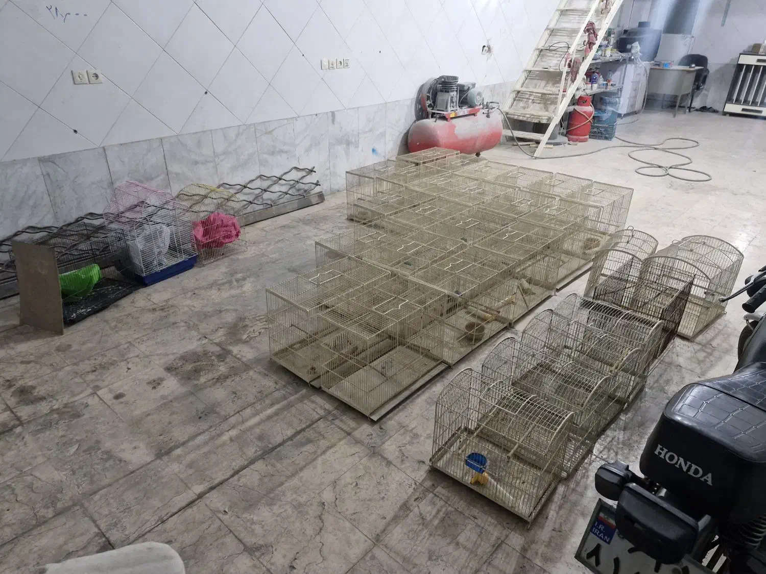 قفس|لوازم جانبی حیوانات|یزد, |دیوار