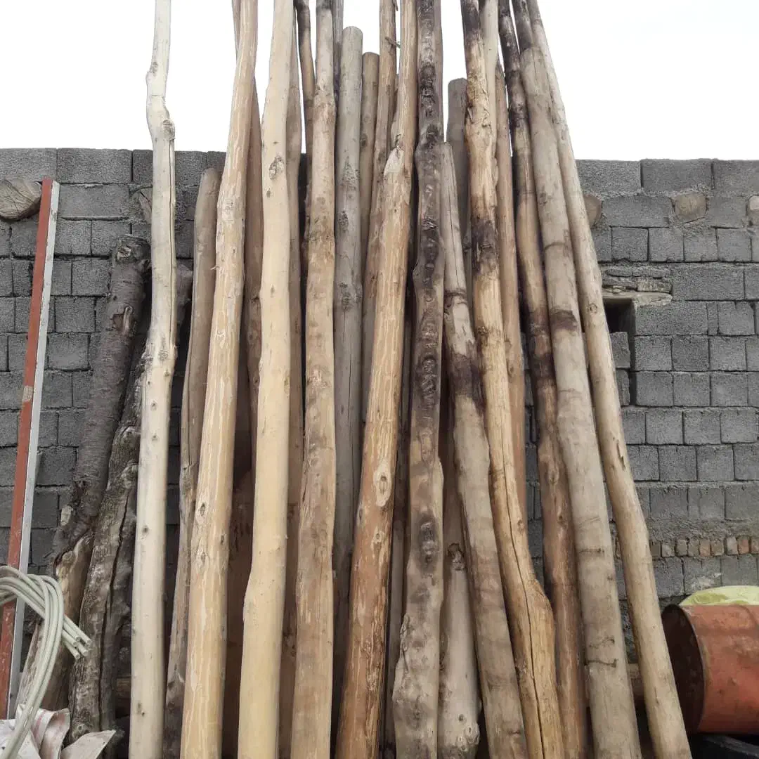 خرید چوب خشک|خدمات باغبانی و درختکاری|ارومیه, |دیوار