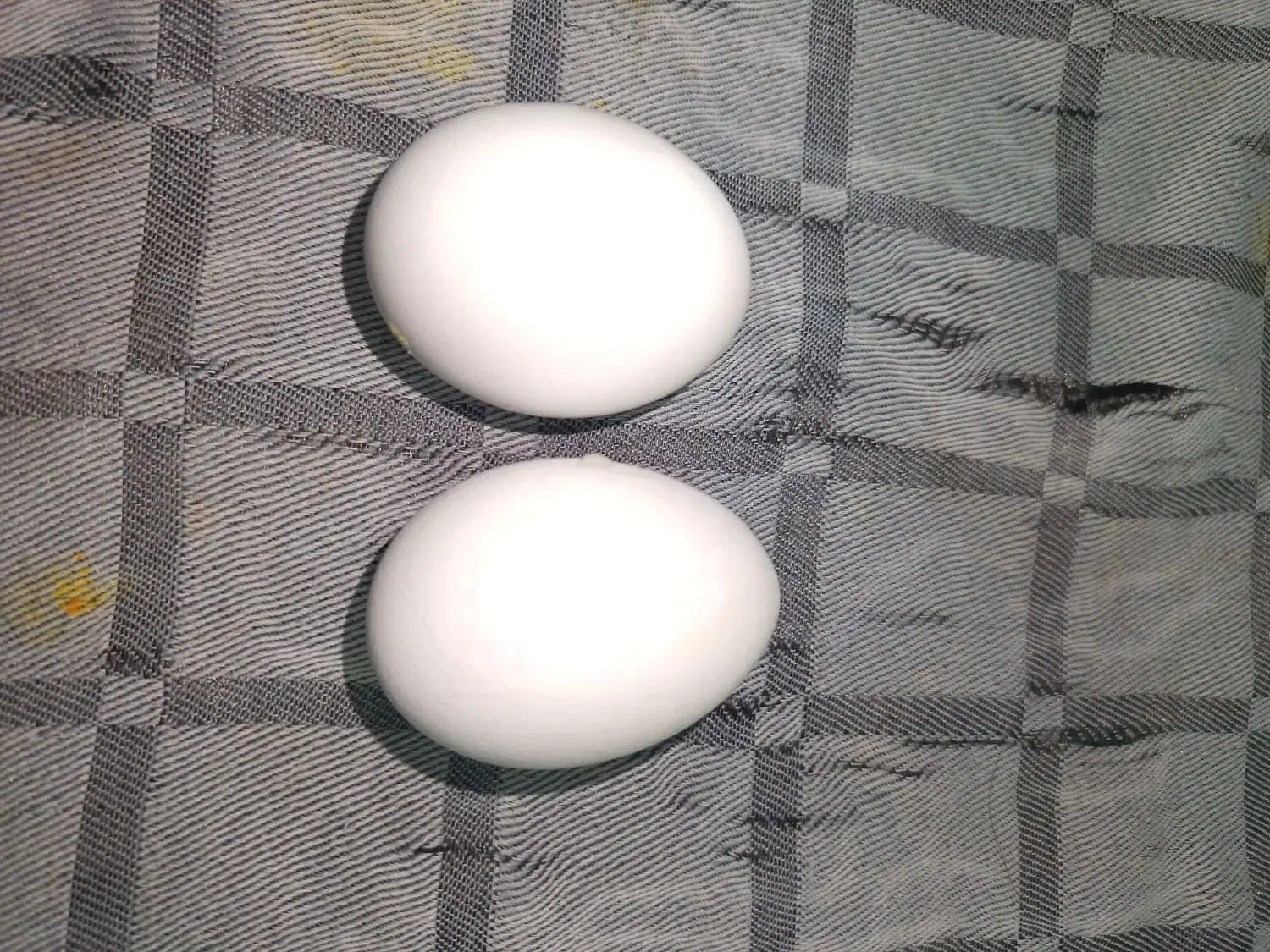 فروش تخم مرغ آب پز (آماده سرو)|خوردنی و آشامیدنی|تهران, ایرانشهر|دیوار