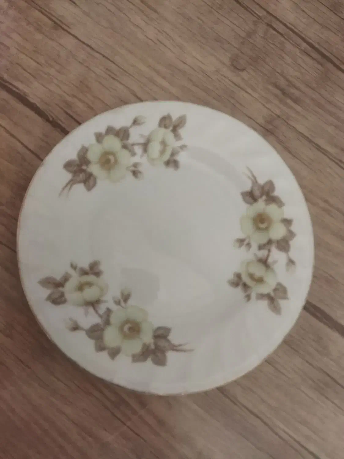 سرویس چینی|ظروف سرو و پذیرایی|قزوین, |دیوار