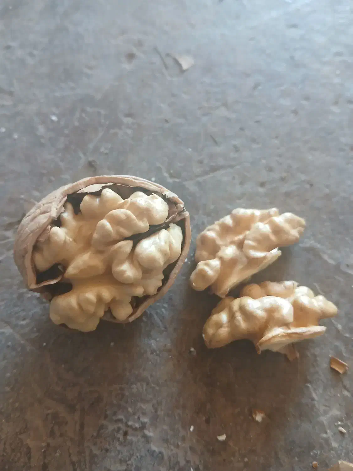 فروش گردو عمده و خرده|خوردنی و آشامیدنی|نهاوند, |دیوار