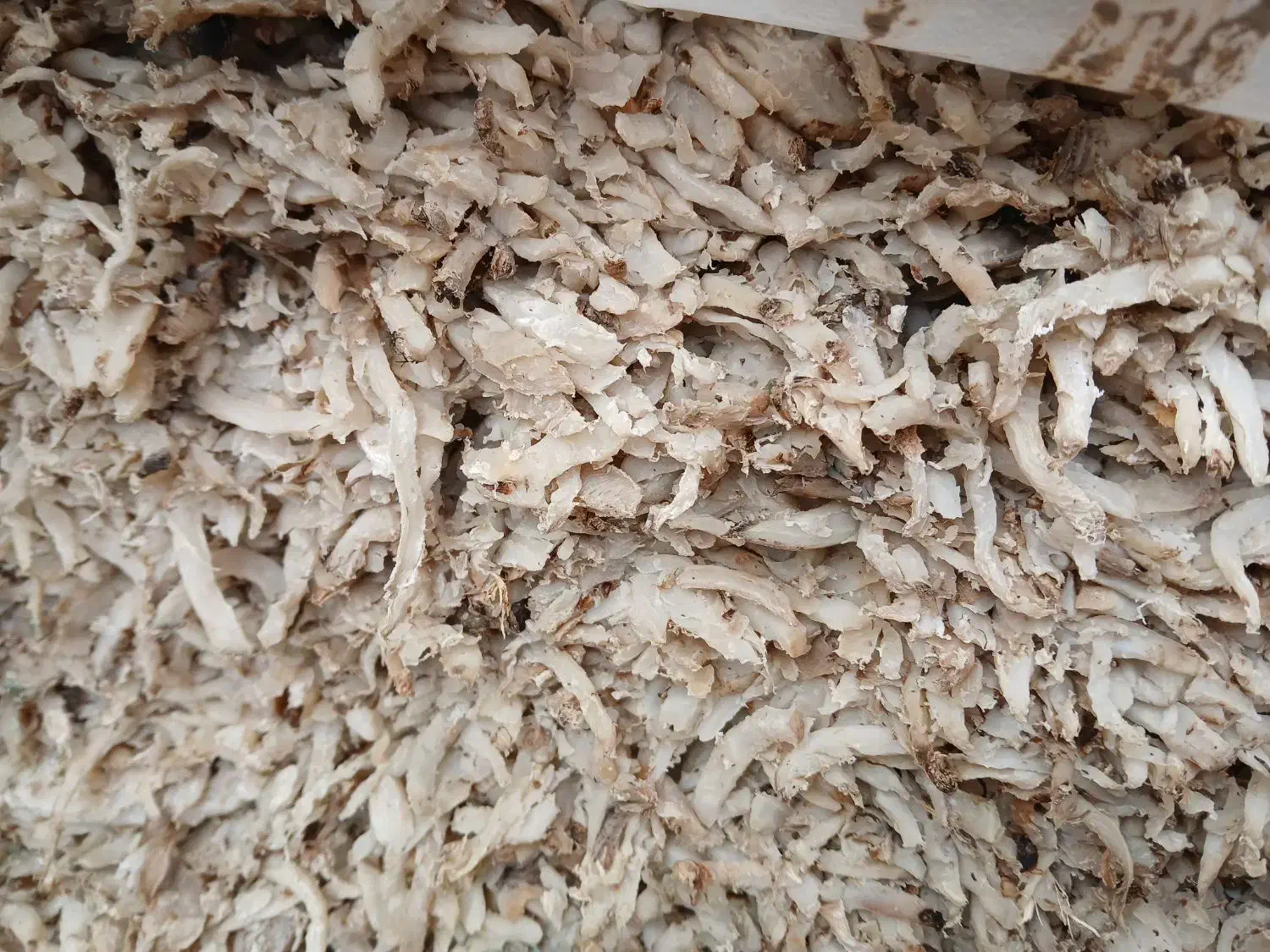 تفاله|لوازم جانبی حیوانات|نوشین شهر, |دیوار