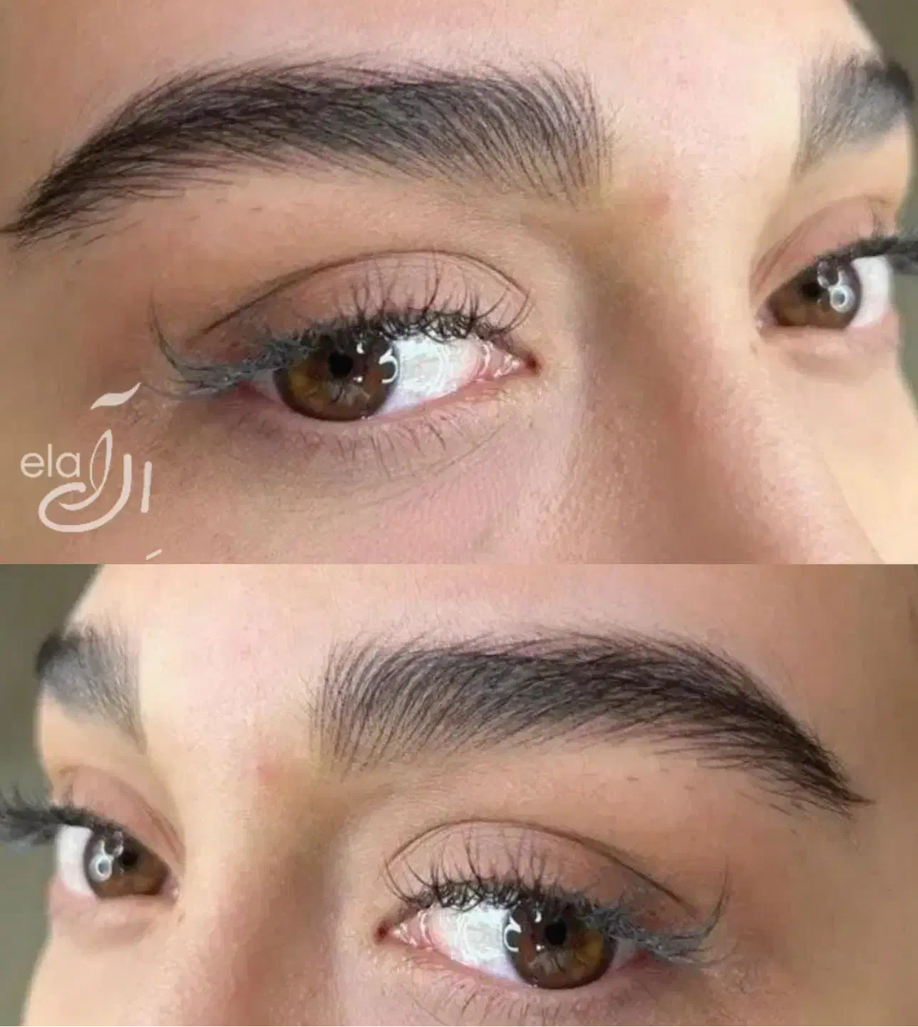 میکروبلدینگ فیبروز کرکی مویی نچرال باقیمت استثنائی|خدمات آرایشگری و زیبایی|کرج, گوهردشت|دیوار