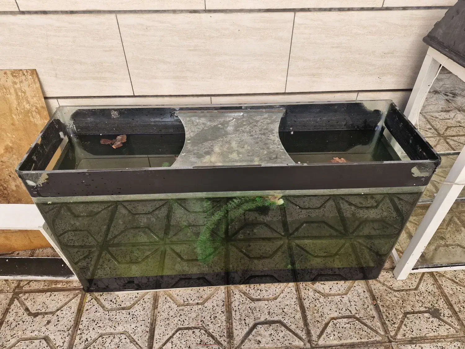 آکواریوم شرکتی شیشه خم10میل|ماهی|مشهد, حضرت حجت|دیوار