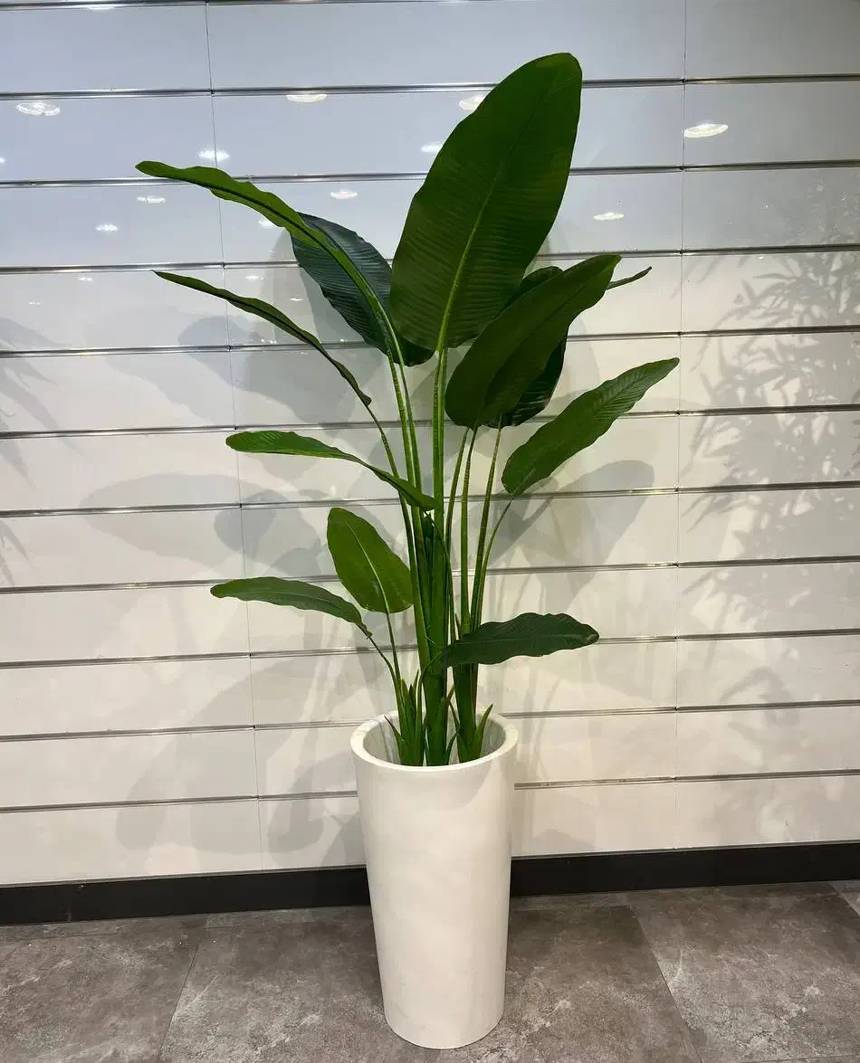 درختچه بزرگ کنار سالنی|گل مصنوعی|خرمآباد, |دیوار