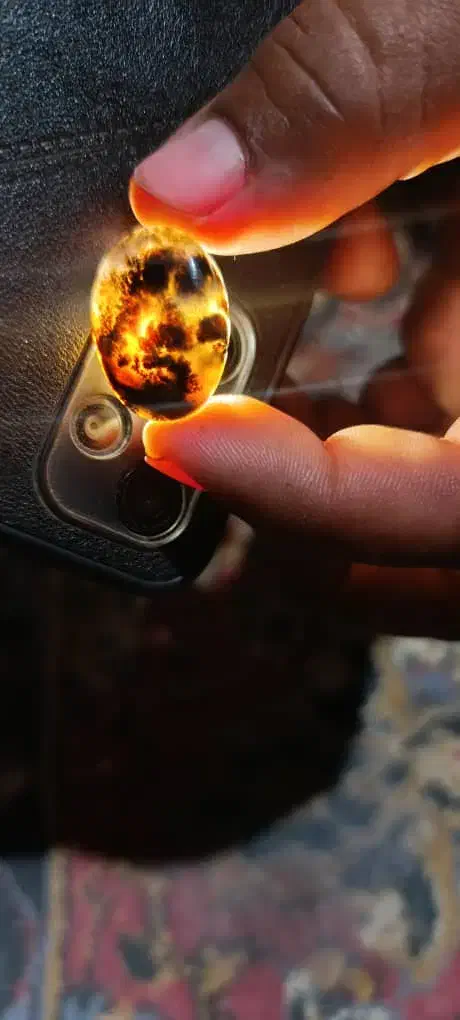 شجر فسا و قاعنات|جواهرات|فسا, |دیوار