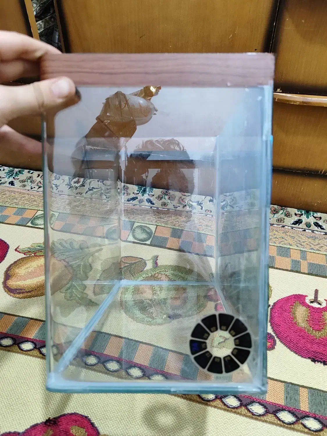 اکواریوم|ماهی|پاکدشت, پاکدشت (مامازند)|دیوار