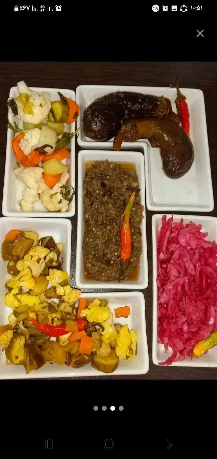 ترشی وشور خانگی همه جوره داریمم|خوردنی و آشامیدنی|ری, شهید غیوری (ابن باویه)|دیوار