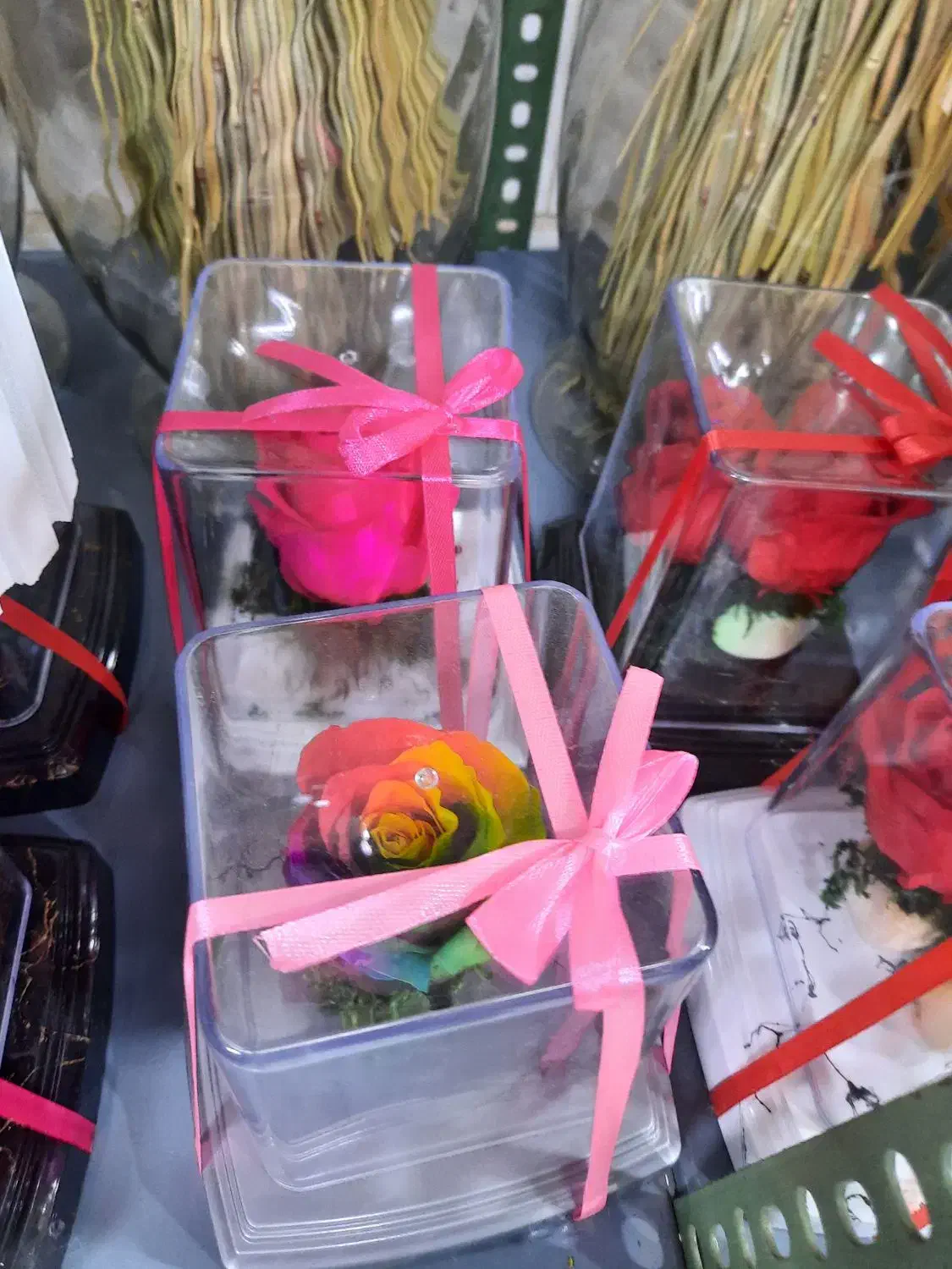 گل رز جاودان|گل و گیاه طبیعی|الوند, |دیوار