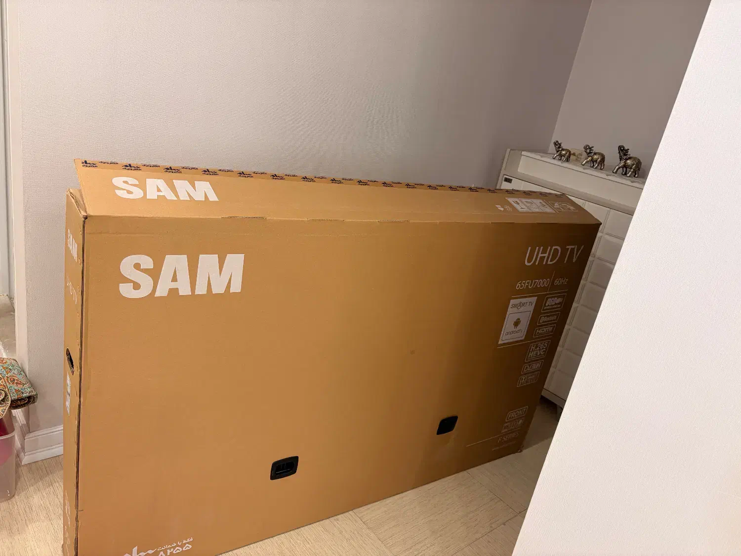 کارتن تلویزیون|تلویزیون و پروژکتور|پردیس, فاز ۸|دیوار