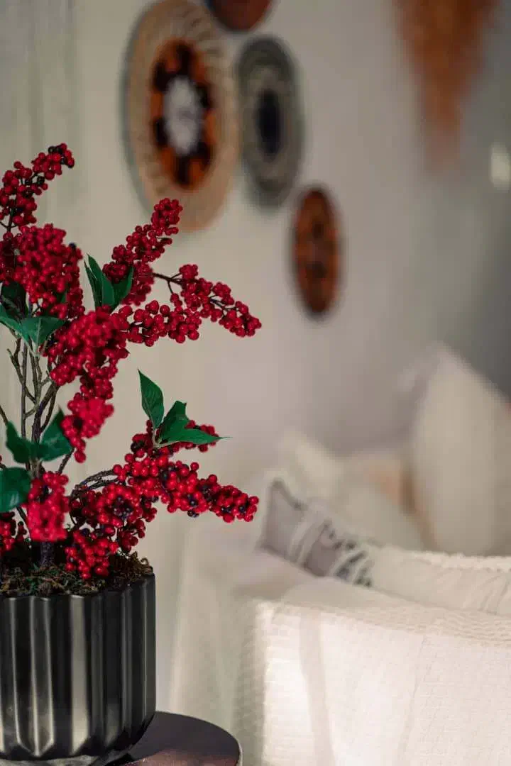 اجاره دکور یلدا|اجارهٔ کوتاه‌مدت دفتر کار و فضای آموزشی|تهران, آرژانتین|دیوار