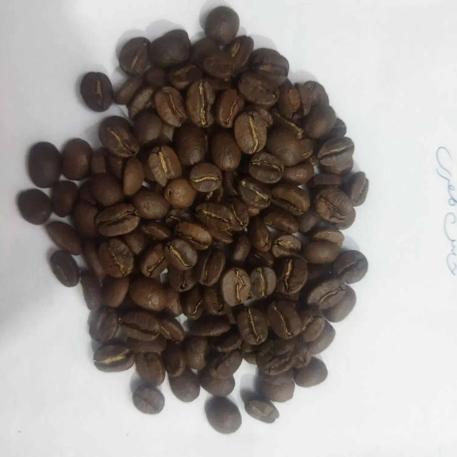 فروش انواع قهوه درجه یک|عمدهفروشی|نهاوند, |دیوار