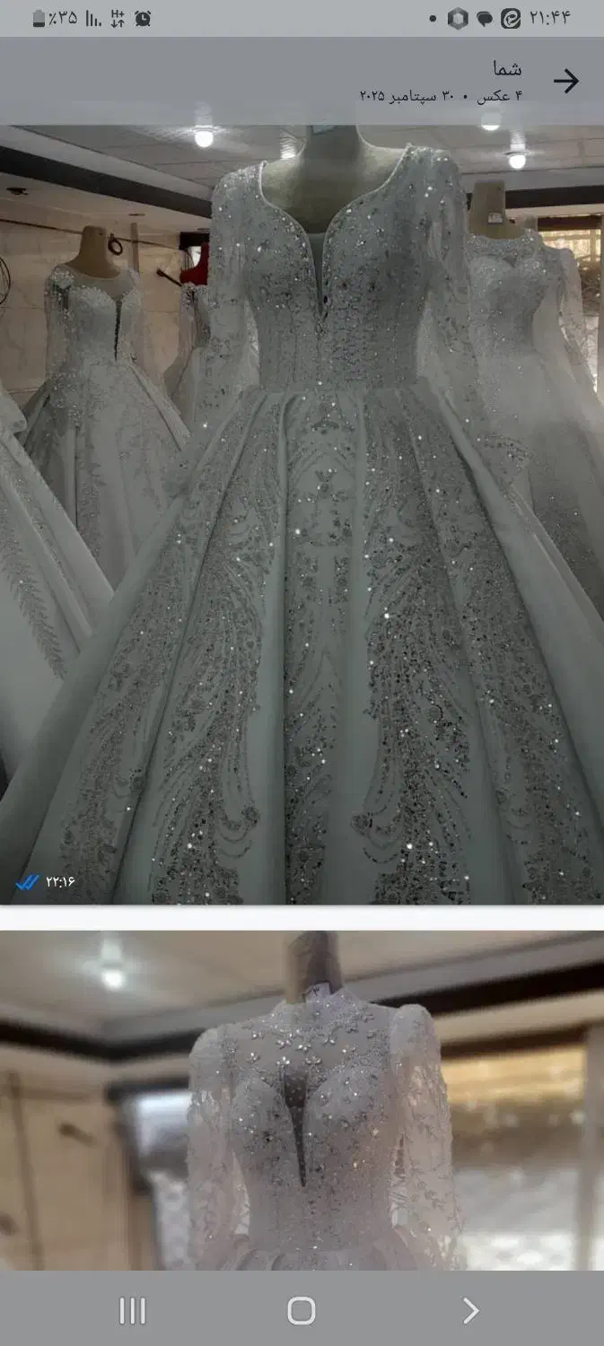 ساتن عربی. شب نما|لباس|انگوران, |دیوار