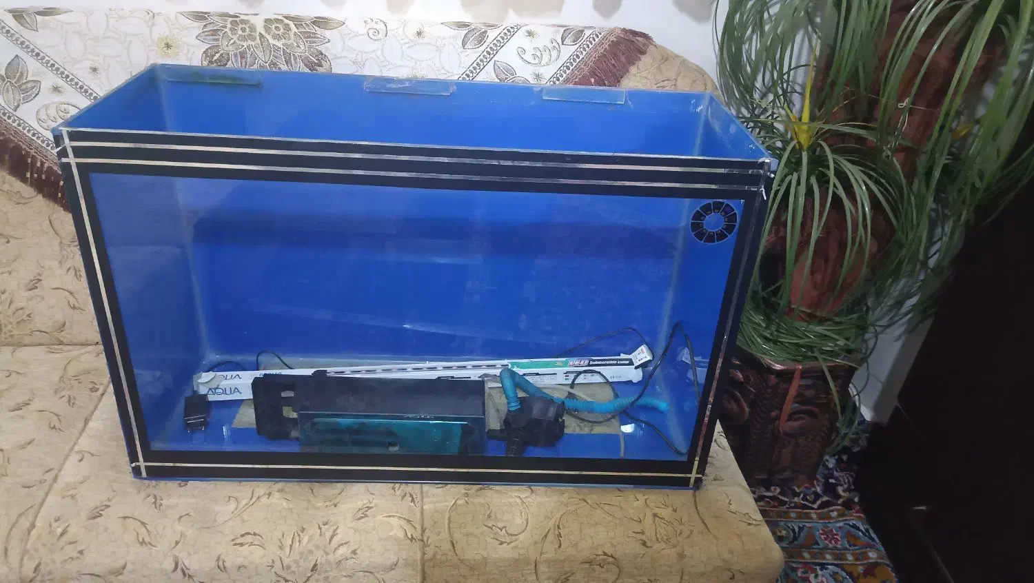 اکواروم بزرگ|ماهی|تبریز, |دیوار