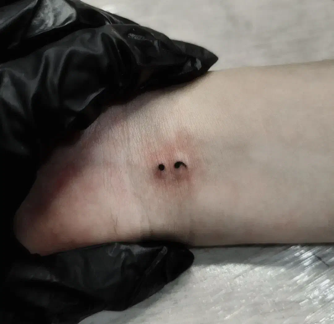 تتو بدن|خدمات آرایشگری و زیبایی|بوشهر, |دیوار