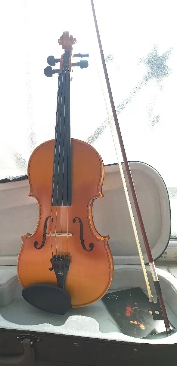 ویولن سالم و کمکار TF142|ویولن|فردیس, فردیس|دیوار