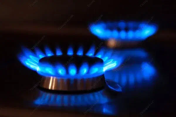 تعمیر اجاق گاز و آبگرمکن در محل سراسر بوشهر|خدمات پیشه و مهارت|بوشهر, |دیوار